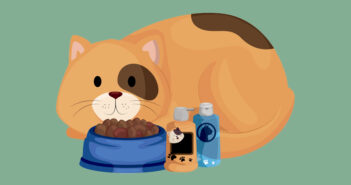 Gode råd til pleje af din kats pels kat-pelspleje
